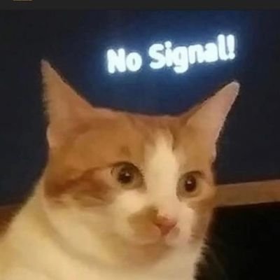 shell_shock00's profile picture. Infosec Pentester/RedTeamer 
OSCP
