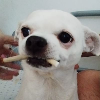 ๐ฆ๐0 Profile