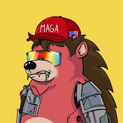 DominikKaczor5's profile picture. 