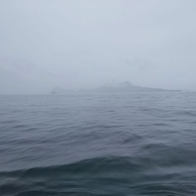 JapViK's profile picture. 