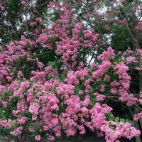 GW (@gwtoday) 's Twitter Profile