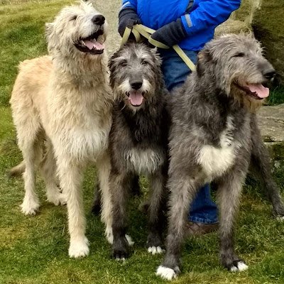 ForretLinda's profile picture. 