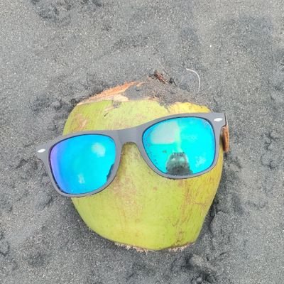 Soy Don Coco, un coco muy fresco y fachero
Multicuenta de: @UnwiFoxy11 :v