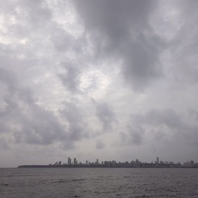 xerendipity11's profile picture. 
