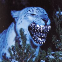 DJ (@djaygotdat) 's Twitter Profile