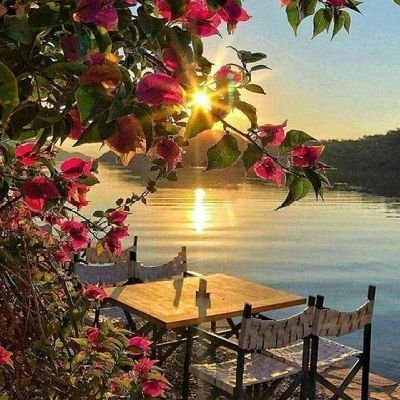 Alymnyf782's profile picture. 