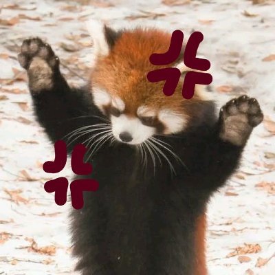 ゛﹙⁉️﹚ 𝆬 vent acc | subtwt:⠀⠀sh⠀⠀obslove⠀⠀ed⠀⠀gore ۪ ׂ ✦