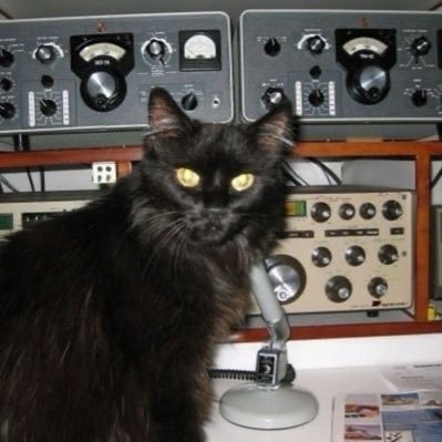 aggressiiively's profile picture. hateful little man