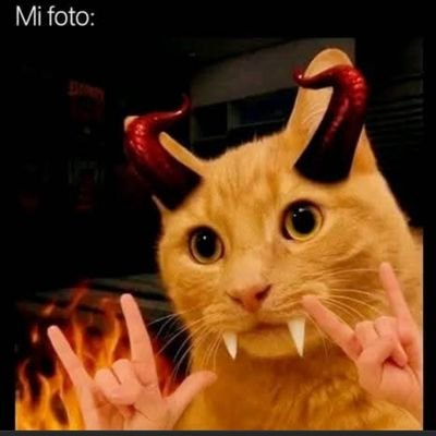 Aun sigo aquí 🇩🇪🇻🇪
😎 Instagram @andreitacgg
👽 Tiktok @the_black2200