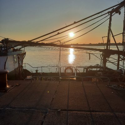 donnyone69's profile picture. A negative mind will never give you a positive outcome