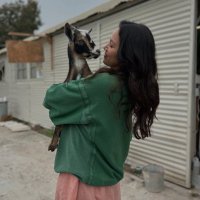 kat ☀️ (@bluelightlucy) 's Twitter Profile Photo kat ☀️ (@bluelightlucy) 's Twitter Profile Photo