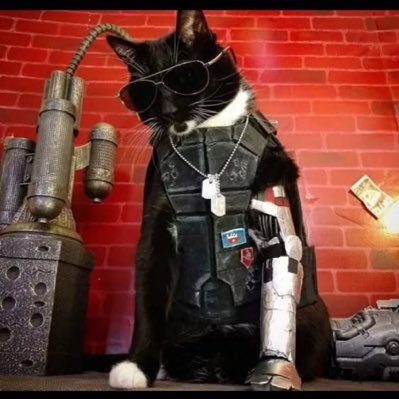 CritComplains's profile picture. || Number 1 Doomposter/ Hate preacher || Cyberpunk 🤘, Persona 🎭, Fallout ☢️