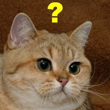 CEO of My Life, full stack dev, tweeter de reclamações relacionadas ao clima