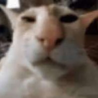 4jbymmk5y2's profile picture. 