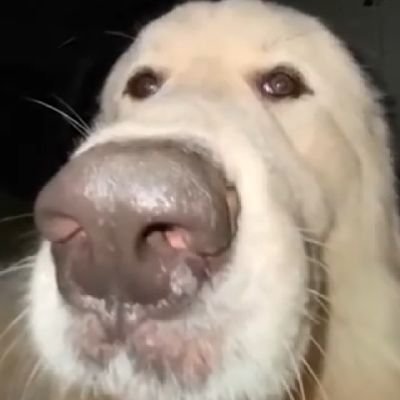 shiraishi6666's profile picture. 