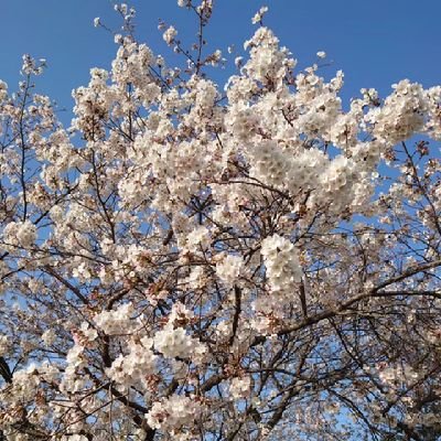 戦略的な事を中心にアドバイスしております!
必要な技術や心理戦等を使用した戦い方
質問等ございましたら遠慮なく。