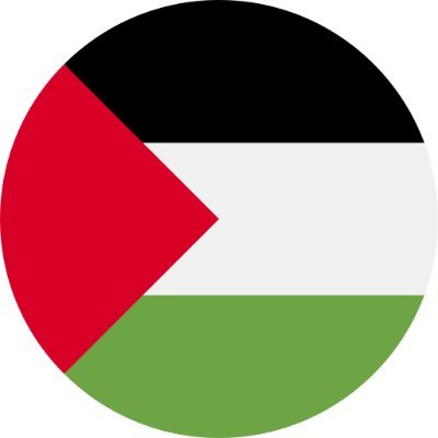 Free Palestine. End the genocide. Stop starving innocent people.