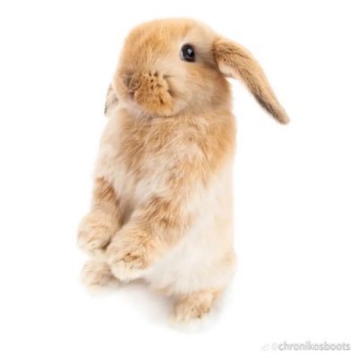 p444dme's profile picture. :3