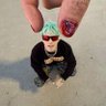 ChasinDaylightt's profile picture. Nico/Aiden  ||  h•a, tøp, NOAHFINNCE, Cavetown, parx and PTV stan  ||  @NightSwiims priv