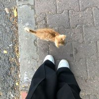 اصااله‌ه (@decovilla08) 's Twitter Profile