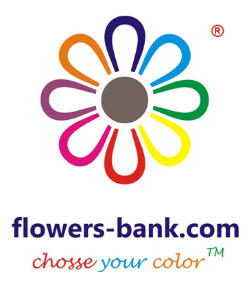 choose your color