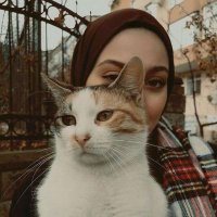 مـلك (@bdowd_brad) 's Twitter Profile