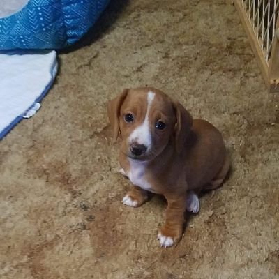TDell53152's profile picture. 