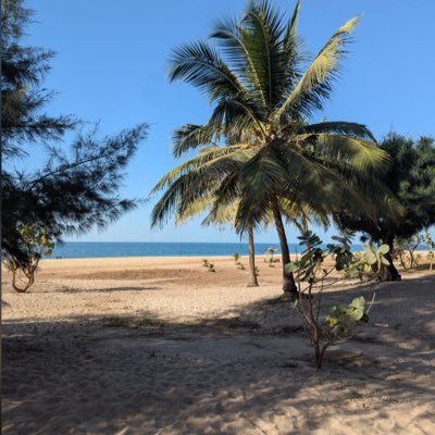 EbrimaJawo53398's profile picture. Trust God✝️💟