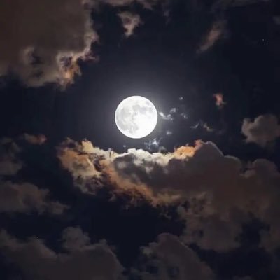 @Al_3otaibia