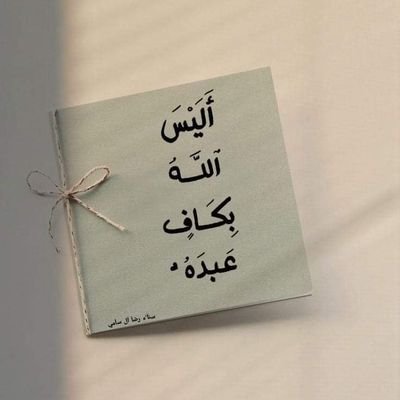 hany278786's profile picture. 