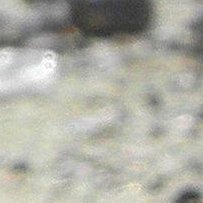 lisine9771's profile picture. Here's a more detailed explanation...