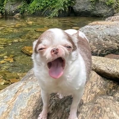 itsflizzyflizz's profile picture. Yeah, more of a personal acc now lol
