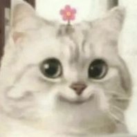 至福の激かわ動物🐱 (@0fpk5l7hdf60754) 's Twitter Profile