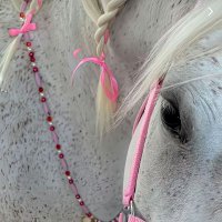 Noor Ali🔆 (@callistaher) Twitter profile photo