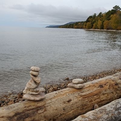 nordmephi's profile picture. 