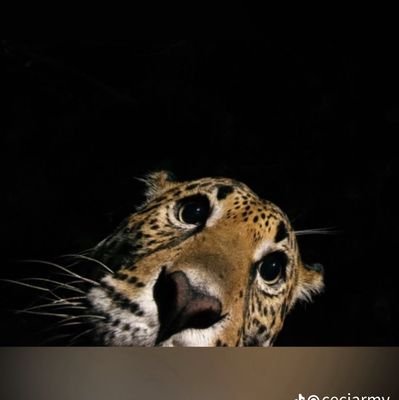 Ale20O's profile picture. 