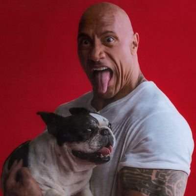 きゃぷてん🦍さんのプロフィール画像