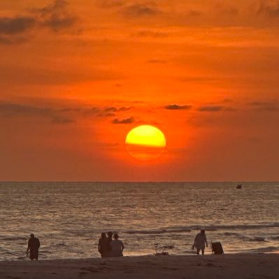 Insearchof_0823's profile picture. Committed to seeking the truth.