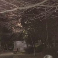 ニコラ (@nichora_s) 's Twitter Profile