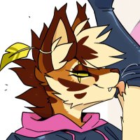 kateee (@servaliciouss) 's Twitter Profile Photo