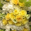 flowers - @TrevorFlorence - Twitter