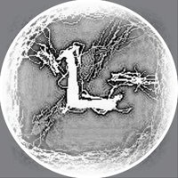 Link (@linkraine) 's Twitter Profile
