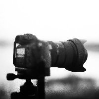 CarterValePhoto (@cartervalephoto) 's Twitter Profile