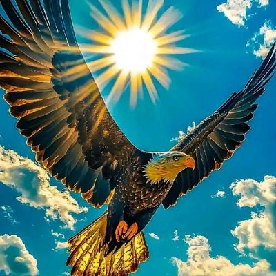 Crown1278's profile picture. 