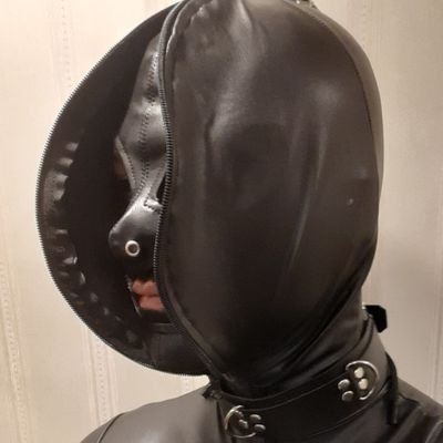 LatexxBoi's profile picture. 