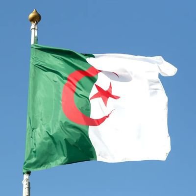مؤلفة، كاتبة ، باحثة في التاريخ أول أعمالي بومدينوفوبيا تجدون بعضاً من مقالاتي على جريدة الصوت الآخر .