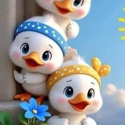 dan8833's profile picture. 