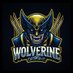 Wolverine Designs (@wolverinedes) Twitter profile photo Wolverine Designs (@wolverinedes) Twitter profile photo