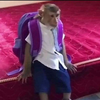 olo_martin's profile picture. 