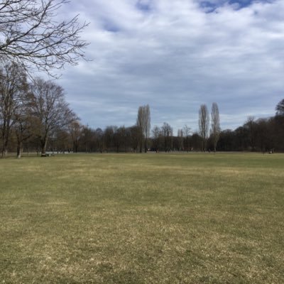 KoteKotesu's profile picture. 